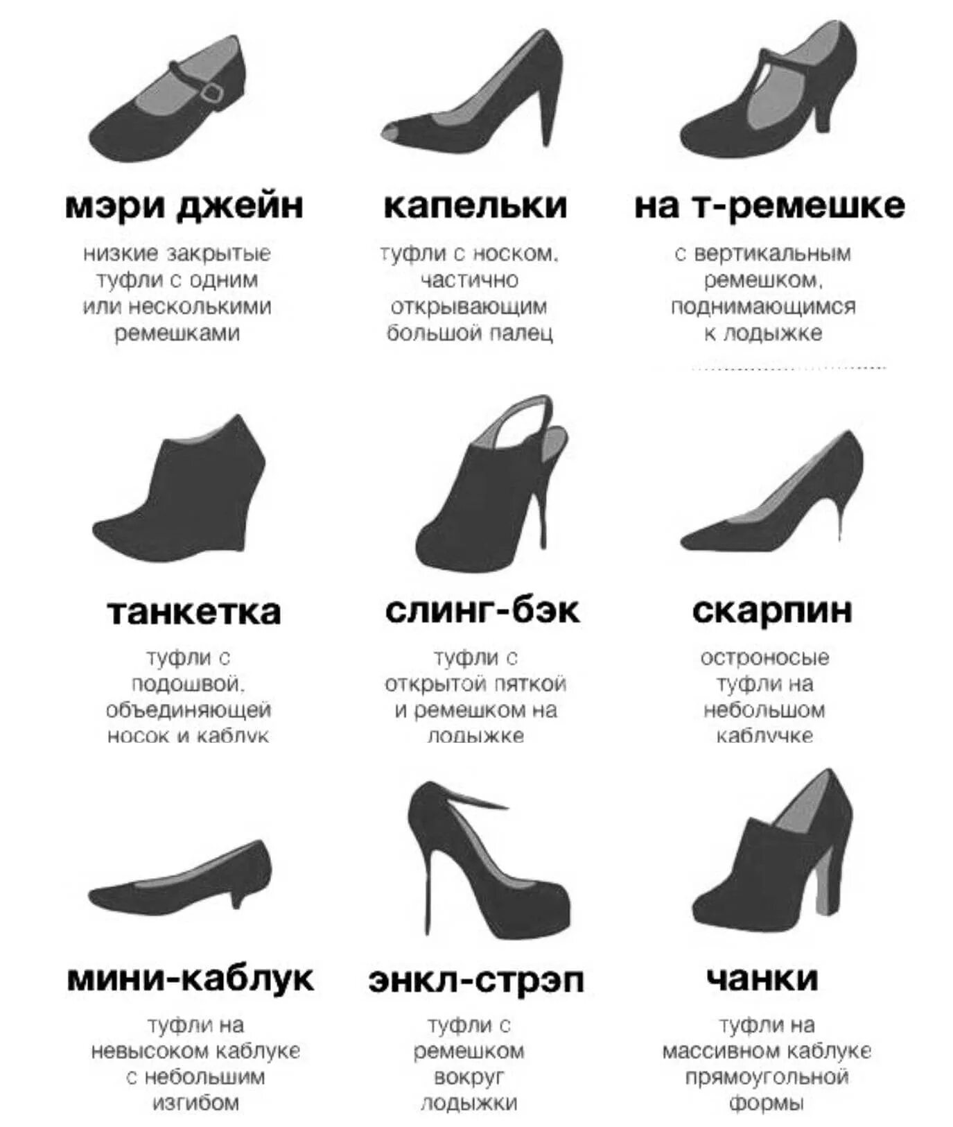 Название каблуков в женской обуви с фото Каблук женщина как называется: найдено 90 изображений