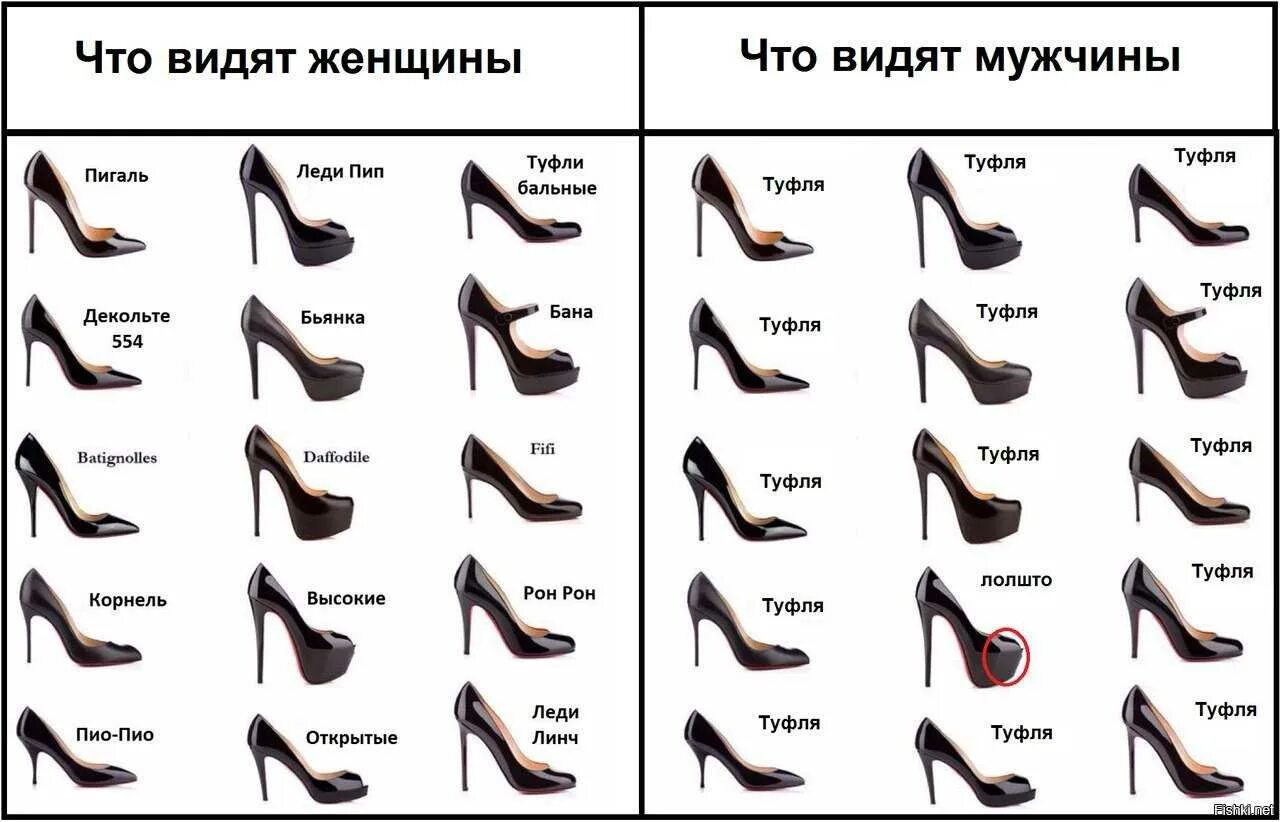 Название каблуков в женской обуви с фото Виды обуви на каблуке