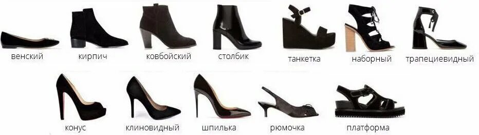 Название каблуков в женской обуви с фото Математика комфорта: как расчитать удобную и безопасную высоту каблука для своей