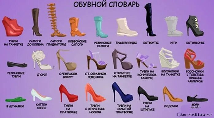 Название каблуков в женской обуви с фото Как избавиться от неприятного запаха в обуви ппполезные советы Постила