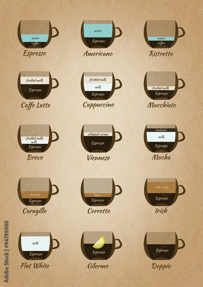 Название кофе список фото Vintage coffee guide infographics Stock Illustration Adobe Stock