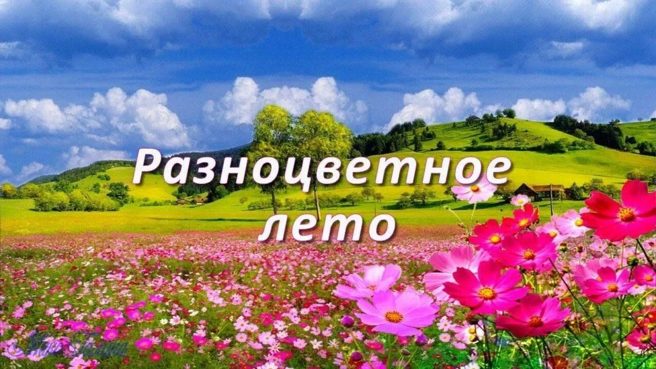 Название летние фото Мое разноцветное лето!" 2023, Федоровский район - дата и место проведения, прогр