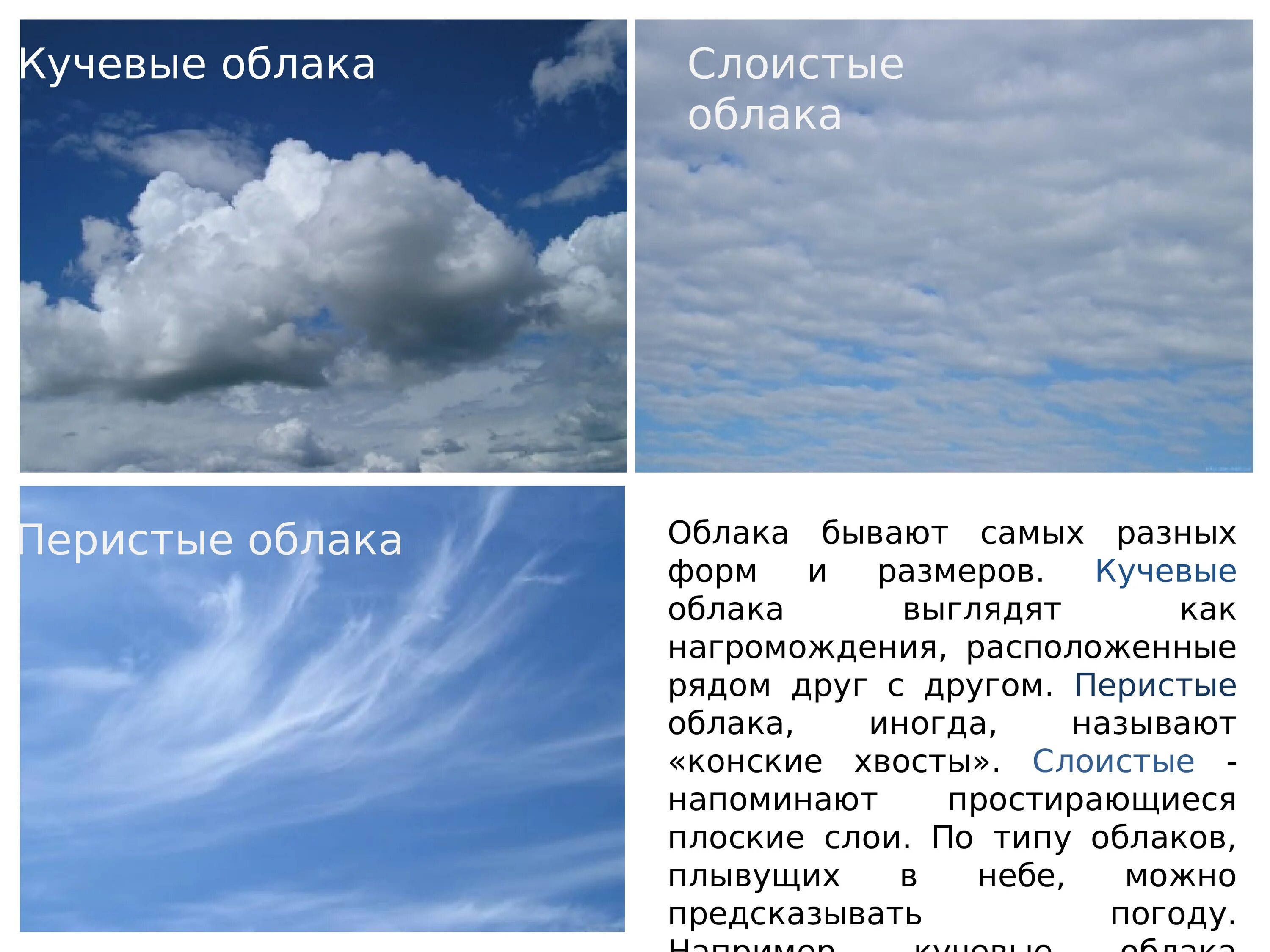 Название облаков разновидности и описание с фото Почему небо называется небом: найдено 75 изображений