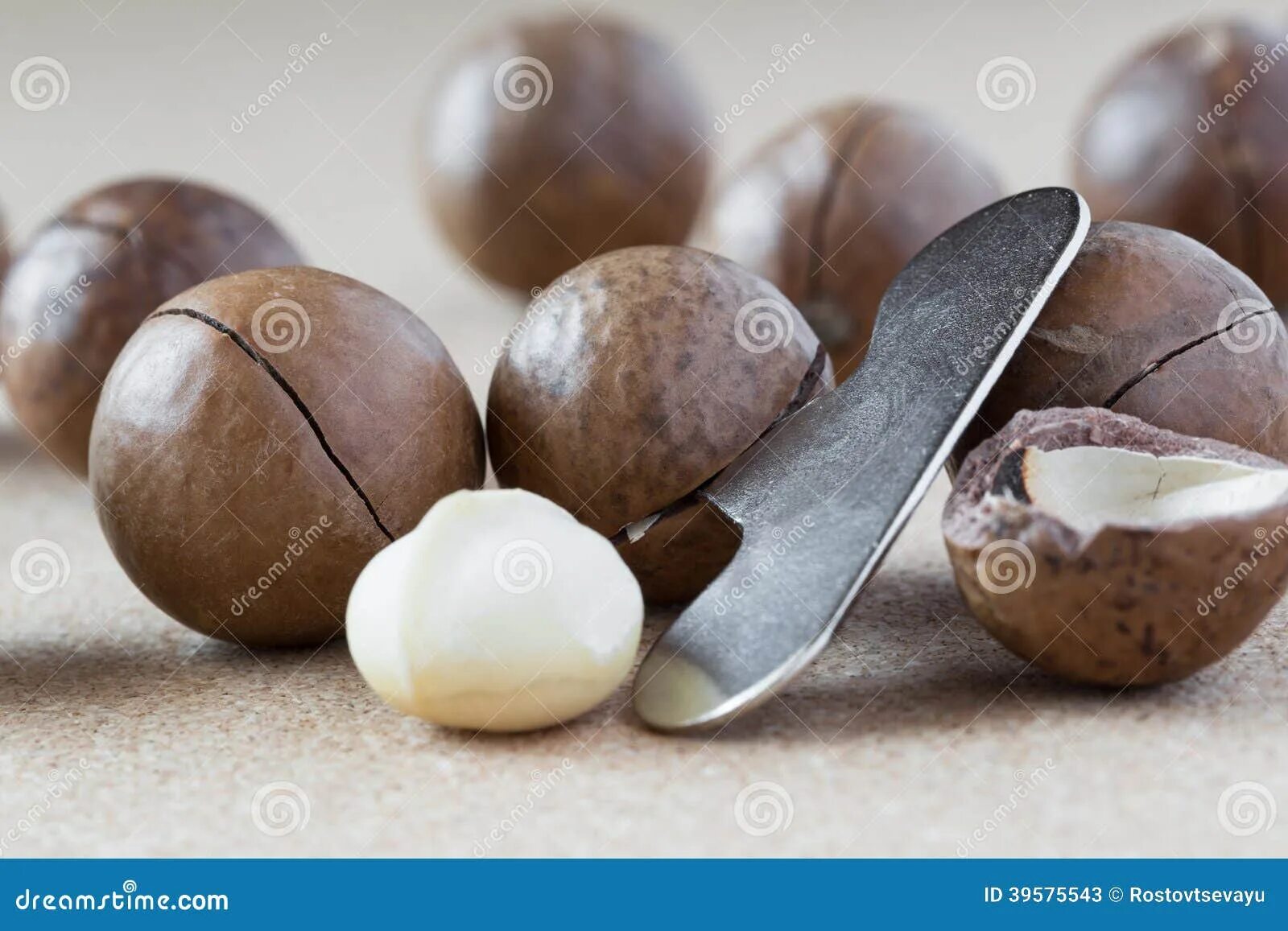 Название ореха который открывается ключом фото Macadamia Nuts with Opener, Close-up. Stock Image - Image of horizontal, crunchy