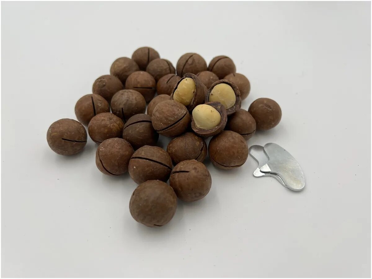 Название ореха который открывается ключом фото Обзоры модели СALORIES/Орех "MACADAMIA" макадамия крупный сорт Австралия с ключи