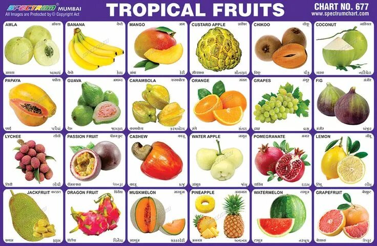 Название по фото фруктов и овощей Fruit and vegetable carving, Tropical fruits, Fruit list