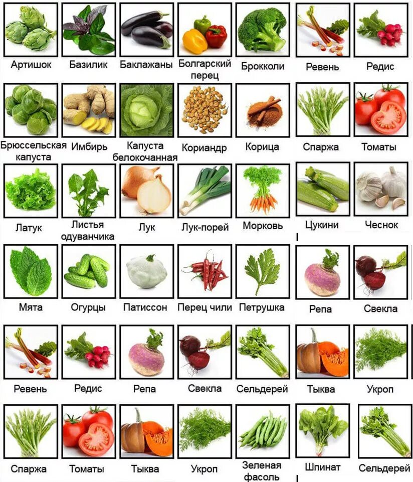 Название по фото фруктов и овощей Продукты с отрицательной калорийностью ЛЯПОТА Дзен