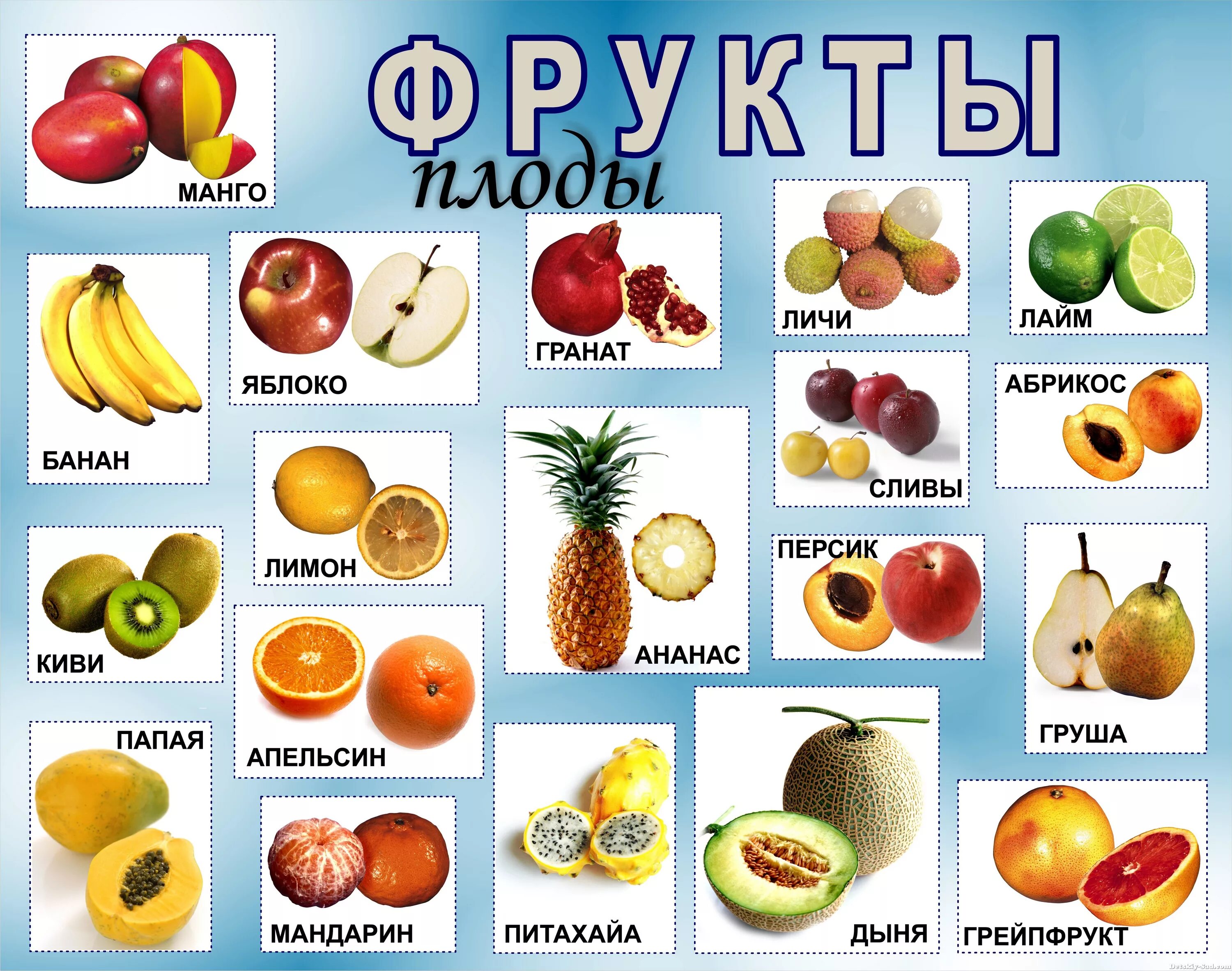 Название по фото фруктов и овощей Какие бывают фрукты названия - CoffeePapa.ru