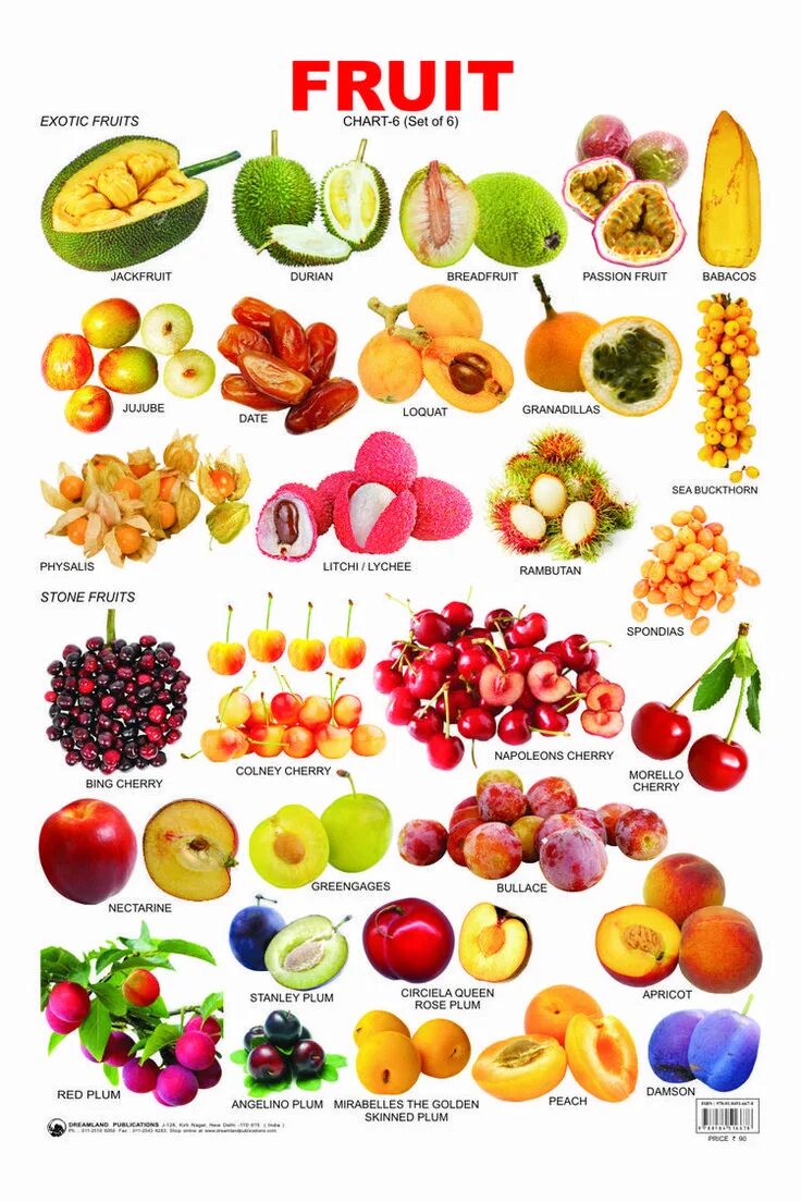 Название по фото фруктов и овощей Pin on ورد ومحصول حديقتي Fruit, Fruits and vegetables pictures, Vegetable pictur