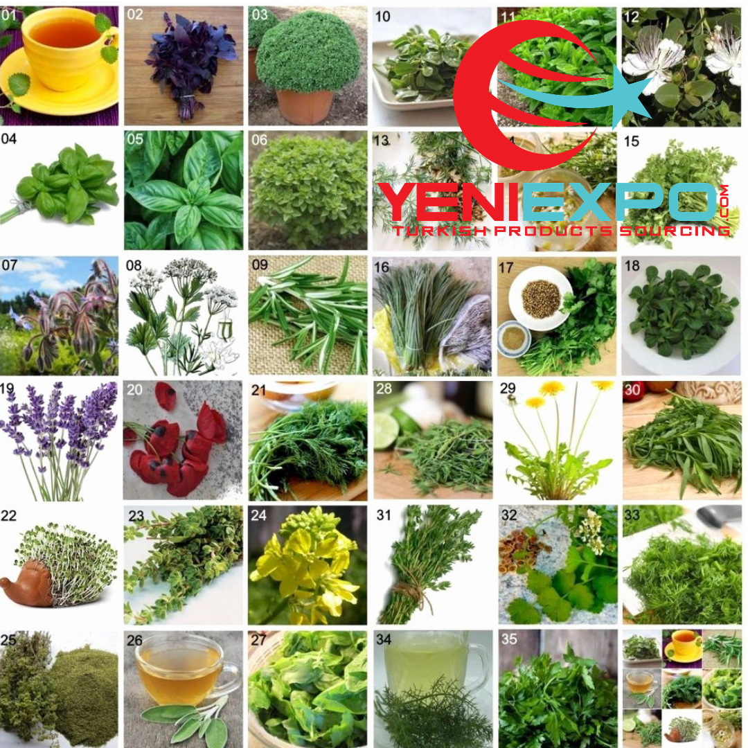 Название полезных трав фото While the medical and aromatic plants market is growing rapidly because of the m