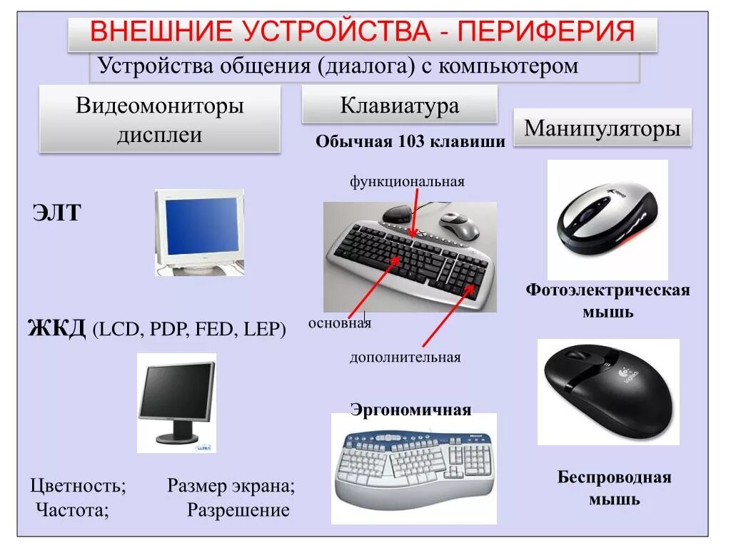 Название программы предназначенной для подключения внешних устройств PPT - Принципы функционирования ЭВМ PowerPoint Presentation - ID:4988324