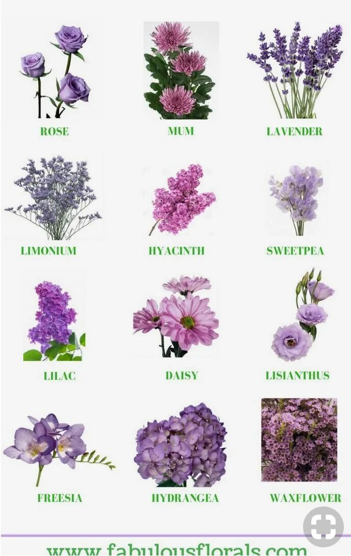 Название сиреневых цветов с фото Pin on Wedding in 2024 Lavender wedding flowers, Purple wedding flowers, Purple 