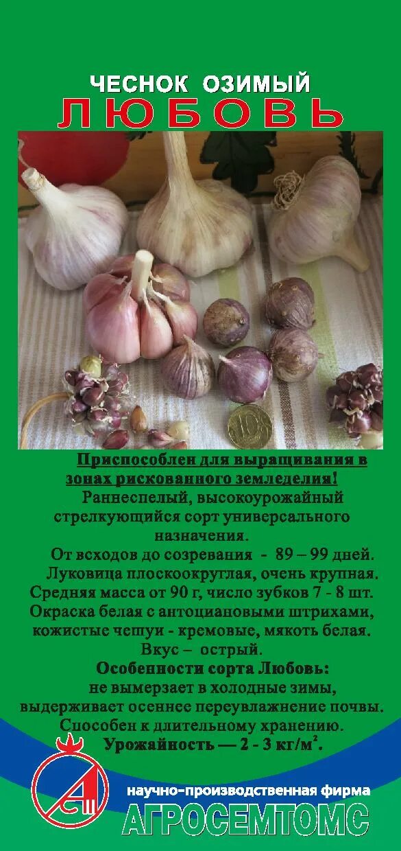 Название сортов чеснока с фото и описанием Купить Чеснок озимый Любовь - отзывы, доставка по России. Отличное качество.