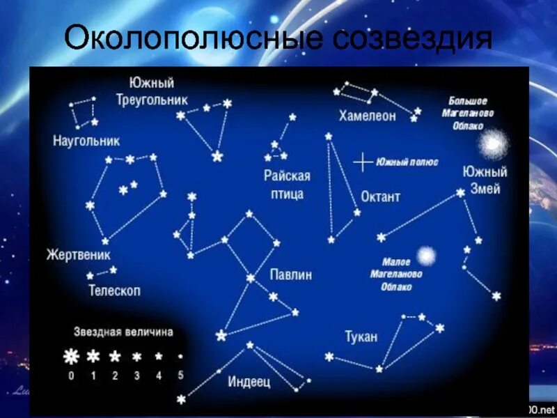 Название созвездие и как они выглядят Основные звезды созвездий