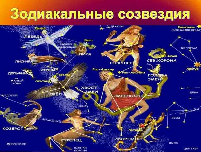 Название созвездие и как они выглядят Созвездия на небе: сколько их всего, список с названиями, картинками и схемами