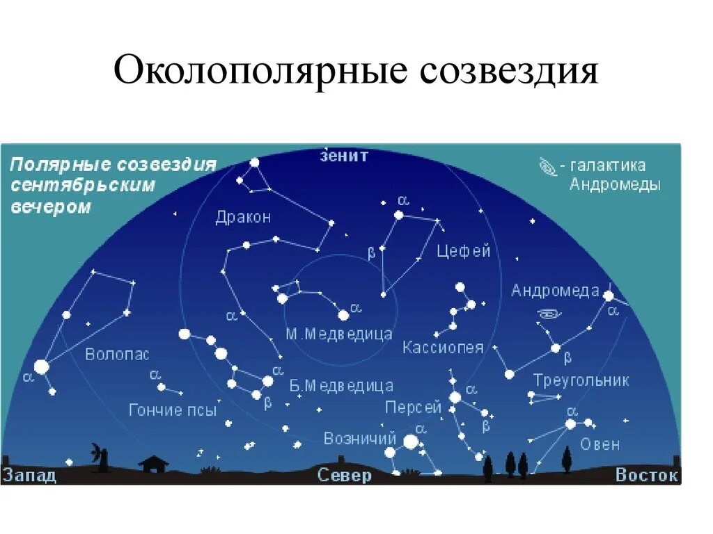 Название созвездие и как они выглядят ОКОЛОПОЛЯРНЫЕ СОЗВЕЗДИЯ (Ф. Ю. ЗИГЕЛЬ) ВКонтакте