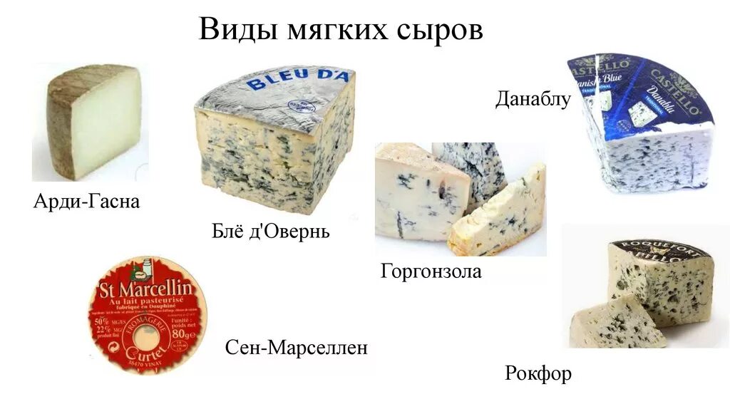 Название сыров список с фото и описанием Какие есть сыры - CoffeePapa.ru