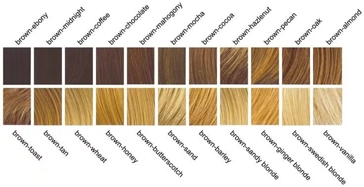 Название цвета волос палитра фото Hair colour descriptions Brown hair shades, Hair color chart, Hair color names