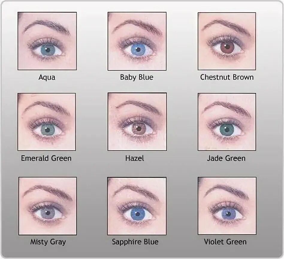 Название цветов глаз человека с фото Pin by Evie Ray on Book Research Eye color chart, Eye color, Eye pictures