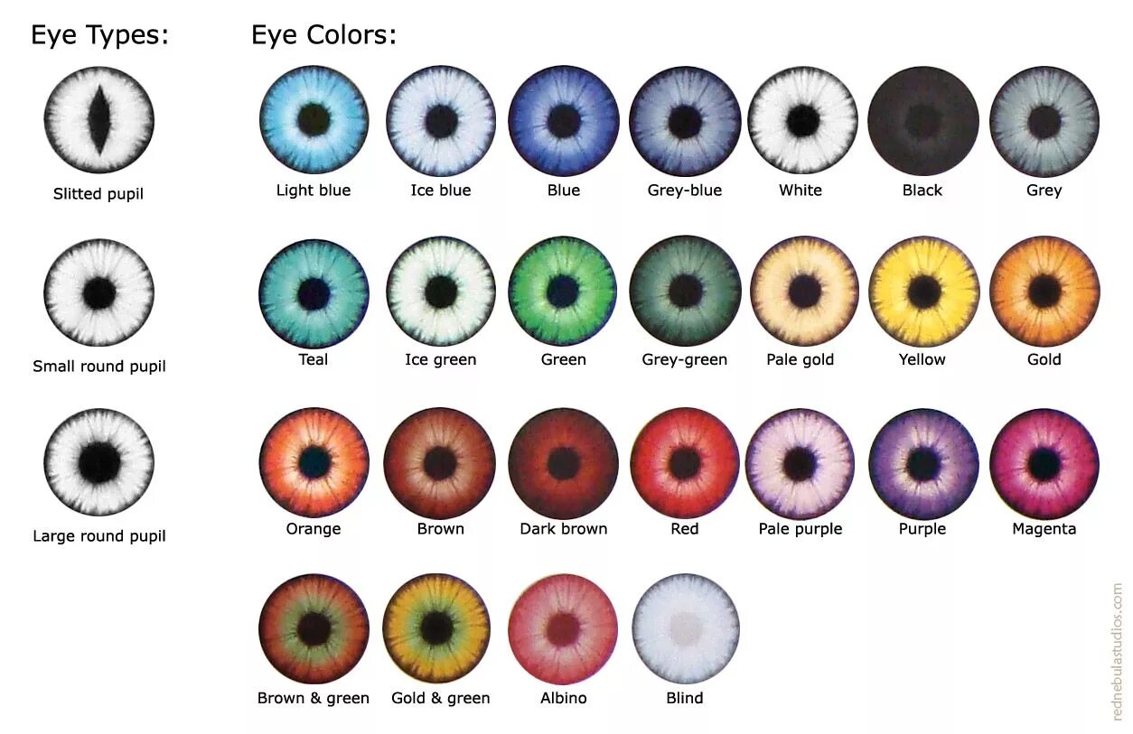 Название цветов глаз человека с фото Pin on Fantasy Eyes Eye color chart, Eye color, Rare eye colors