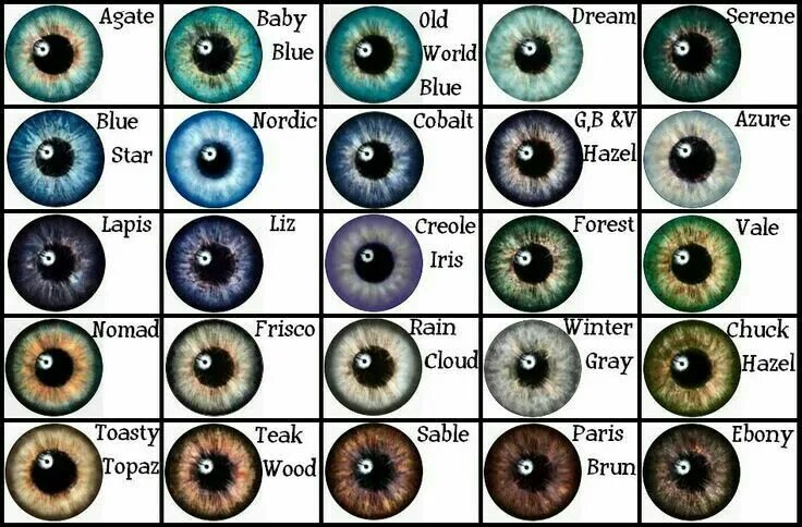 Название цветов глаз человека с фото Pin by Jade Bartell on Writing Tips Eye color chart, Eye color, Writing characte