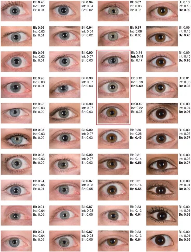 Название цветов глаз человека с фото Forty shades of color. : DNA goes to court : Nature Biotechnology Eye color char