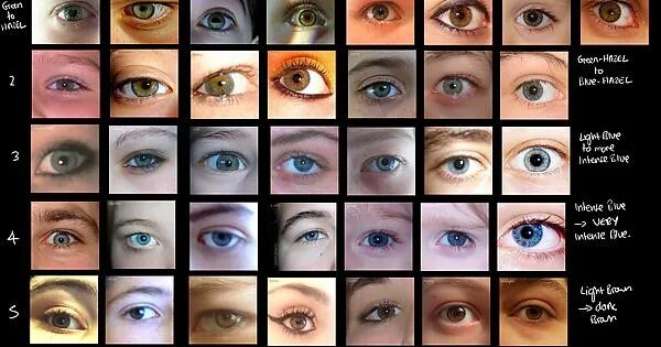 Название цветов глаз человека с фото Range of Possible Eye Colors a Person Can Have - Imgur