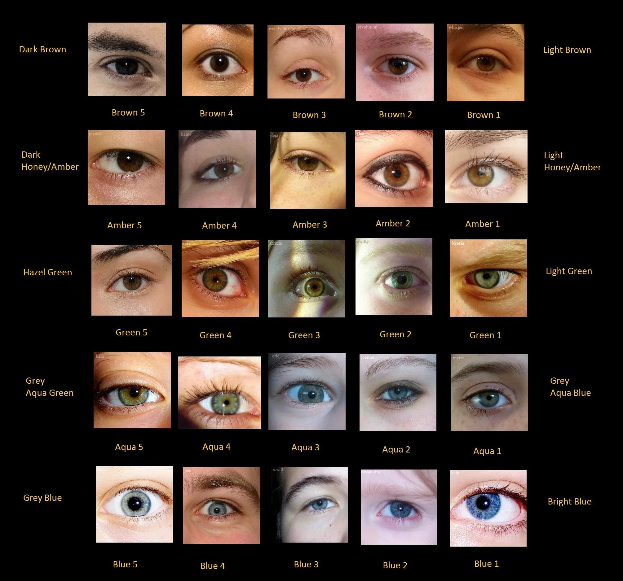 Название цветов глаз человека с фото Eye colour chart with photos of real eyes. Eye color chart, Eye color, Rare eye 