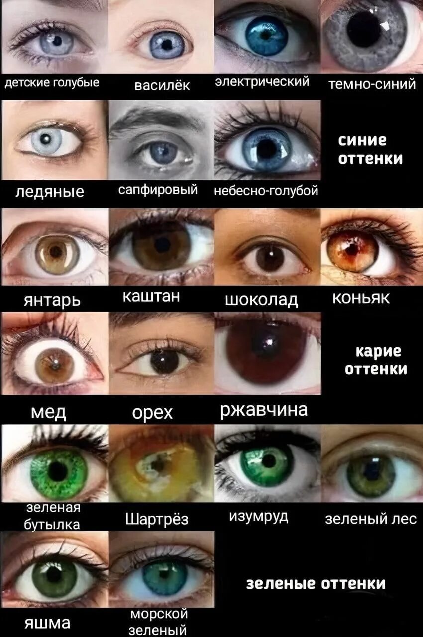 Название цветов глаз человека с фото Картинки КАКИЕ ГЛАЗА ПО ЦВЕТУ