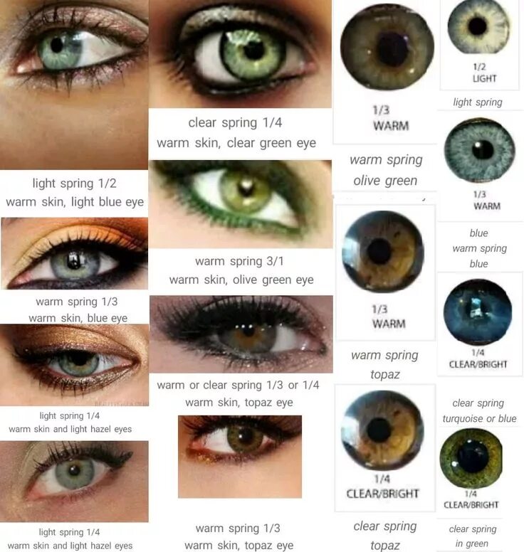 Название цветов глаз человека с фото Eye Shadow colors by Season Colorful eyeshadow, Green eyes, Hair colour for gree