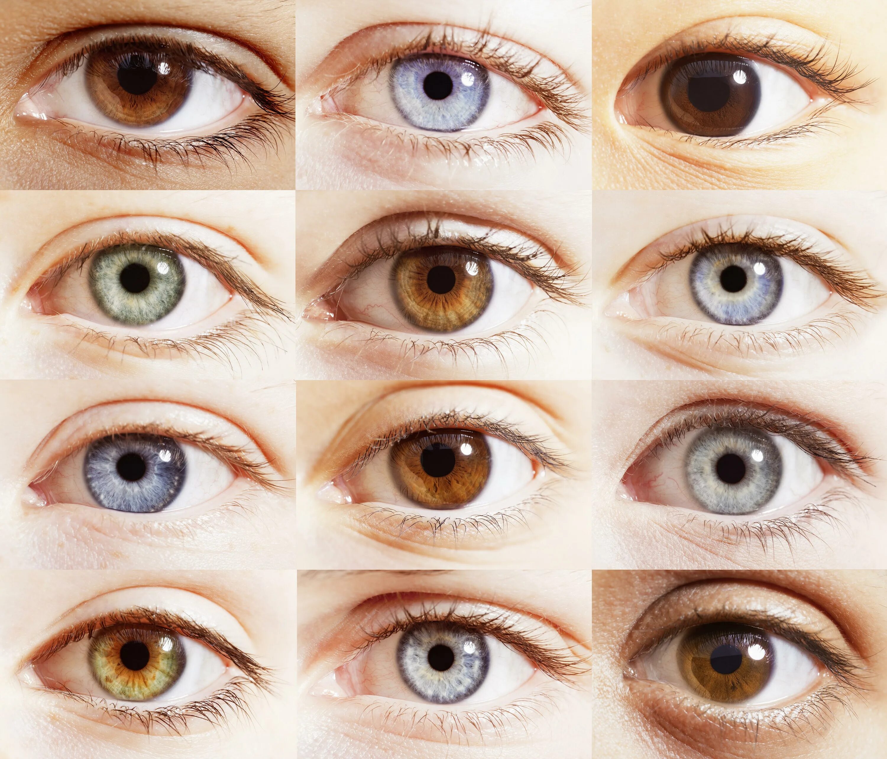 Название цветов глаз человека с фото This is why science says we all have brown eyes even if you think they're blue T