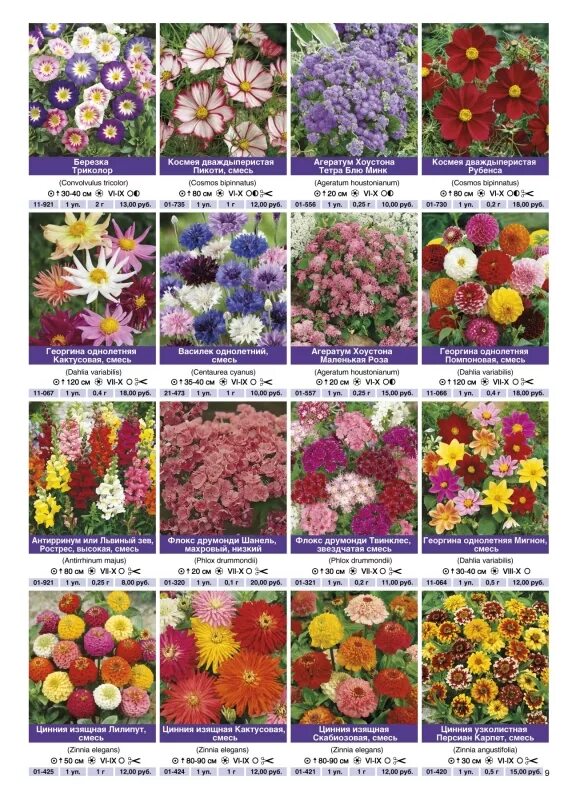 Название цветов и описание фото садовые Interflora-XXI, OOO - Firm info - Company catalogue - English - GreenCom.ru