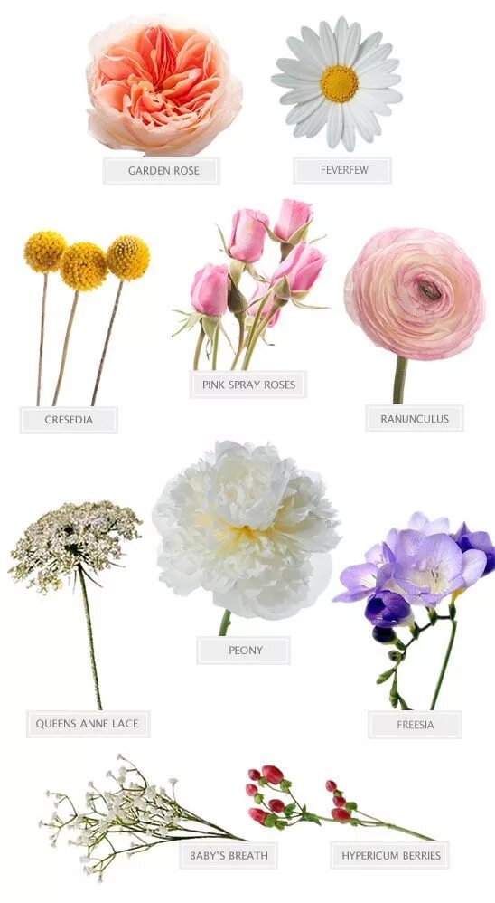 Название цветов которые добавляют в букеты фото Family Inspired Farm Wedding Flower arrangements, Types of flowers, Different ty