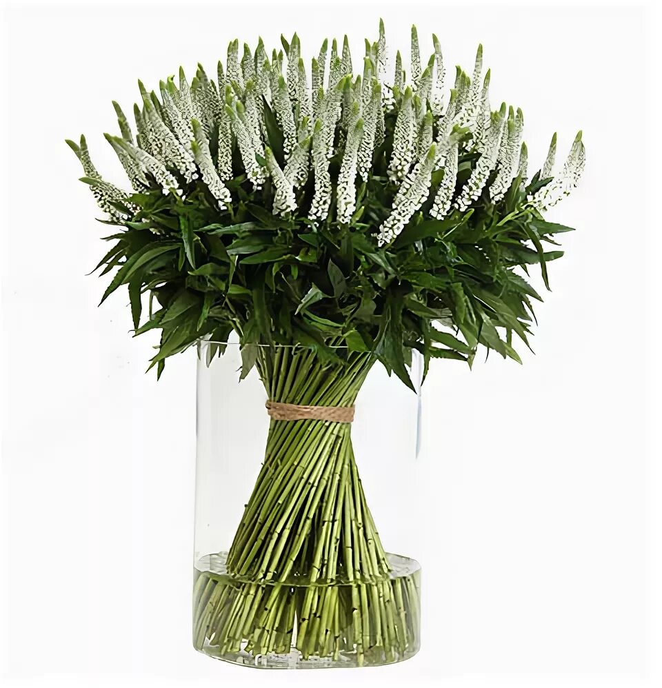 Название цветов которые добавляют в букеты фото Veronica Smart Florius Flowers