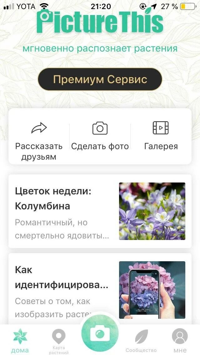 Название цветов по фото с телефона Определить цветок по фотографии с телефона: найдено 83 изображений