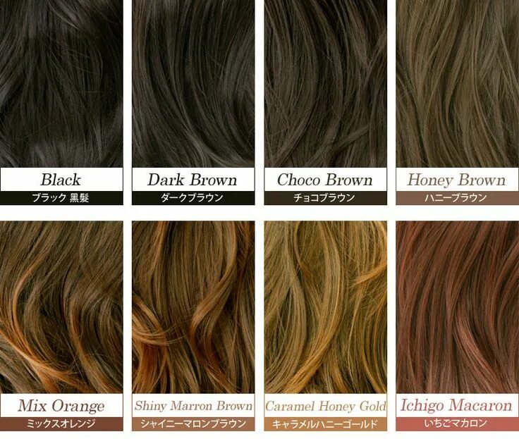 Название цветов волос с фото Rokku Style ♥ Hair color names, Brown hair color shades, Japanese hair color