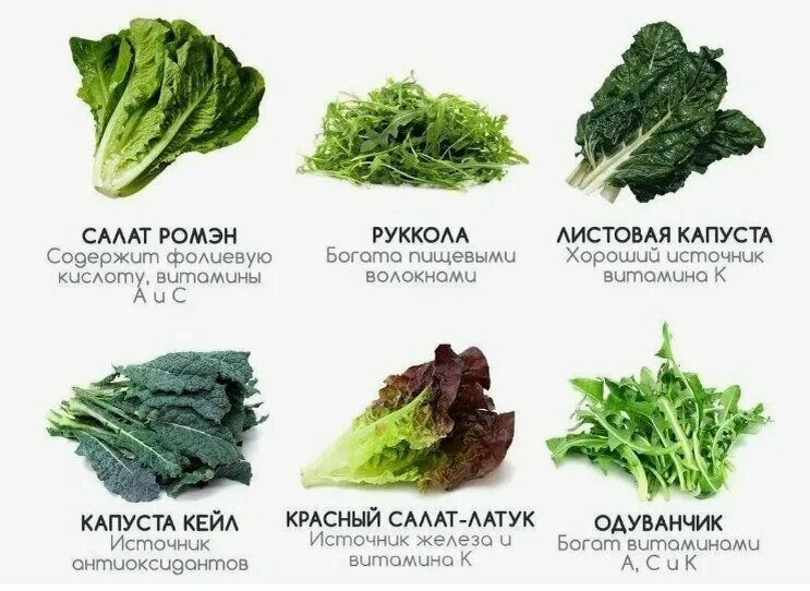 Название зеленых салатов с фото Питание для ясного ума и твердой памяти OK! Дзен