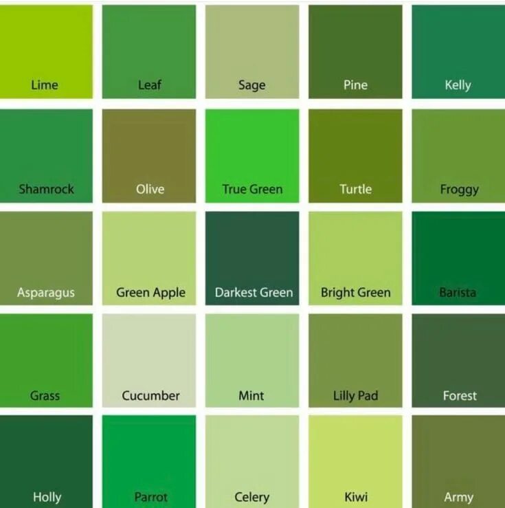 Название зеленых цветов фото your best.S. on Twitter Colores de pintura verdes, Tipos de verde, Tipos de colo