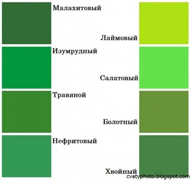 Название зеленых цветов фото Бледно зеленый предложение