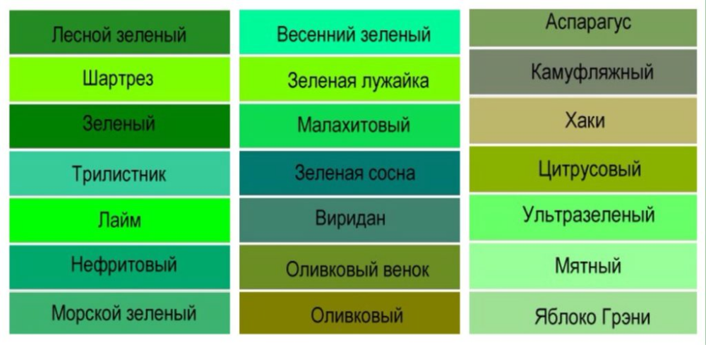 Название зеленых цветов фото Зеленые брюки - с чем носить различные модели, фото и советы Брюки, Зеленые джин