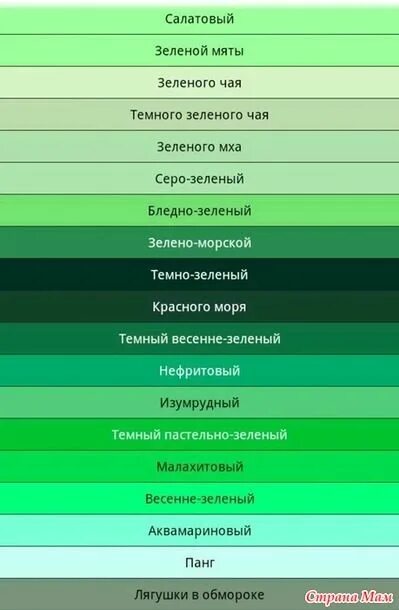 Название зеленых цветов фото А вы знаете какого цвета лягушка в обмороке? Лягушка, Цветы, Картинки