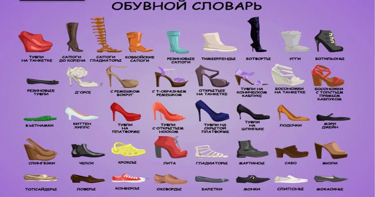 Название женской обуви с фото Названия летней обуви женской с картинками виды: найдено 88 изображений