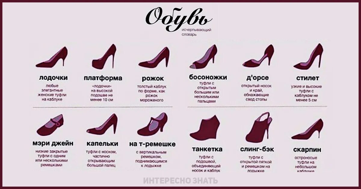 Название женской обуви с фото Какая обувь должна быть в гардеробе женщины: виды женской обуви с фото и названи