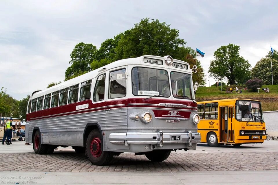 Названия автобусов фото Русский автобус 1 - DRIVE2
