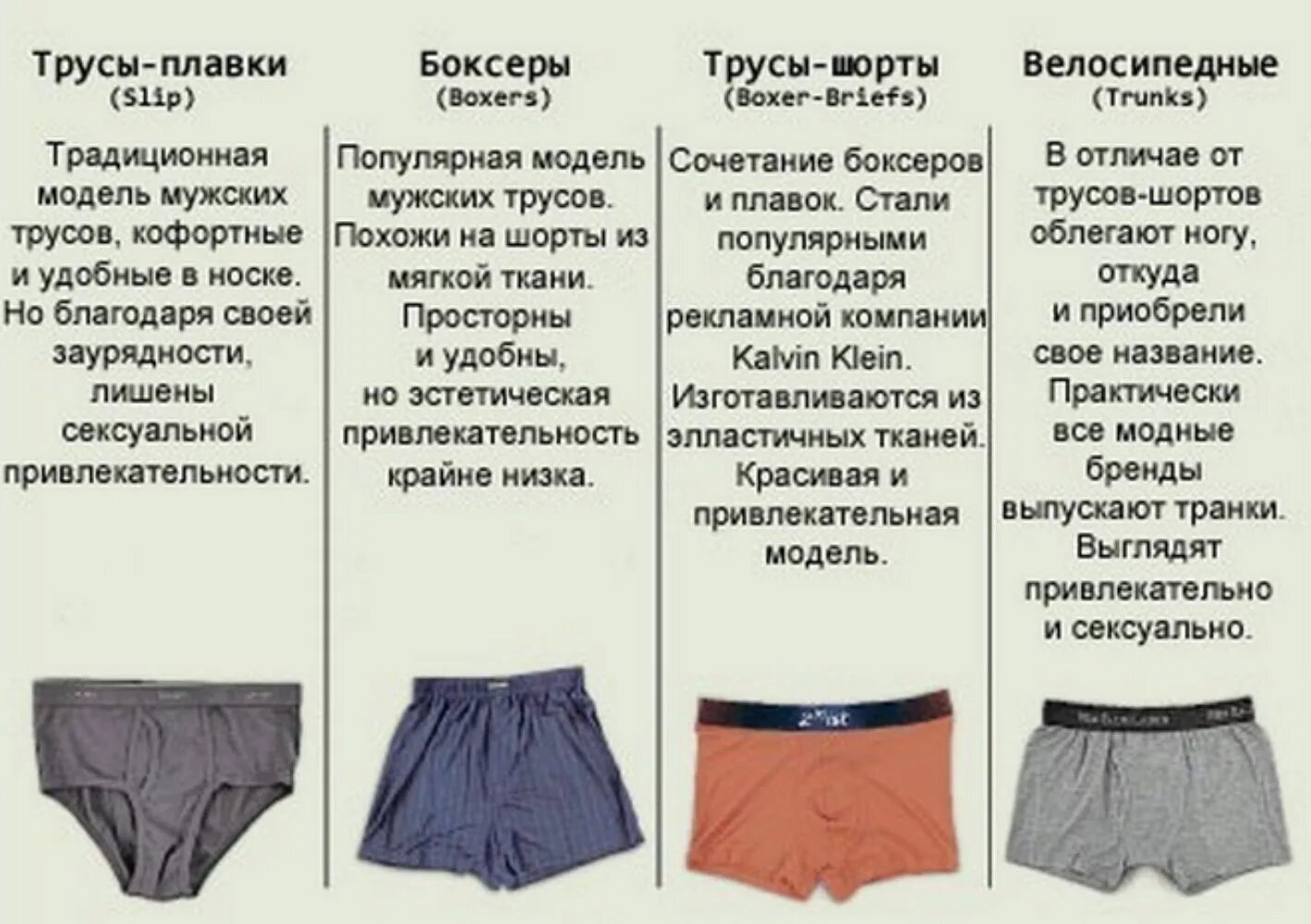 Названия и фото нижнего белья Трусы типа плавки Каталог одежды Dress-m.ru