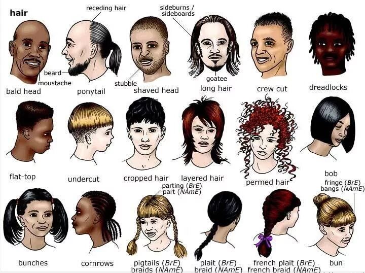 Названия причесок на английском мужские Pin on изучаем английский Mystery of history, Visual dictionary, Vocabulary
