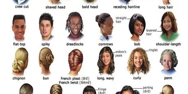 Названия причесок на английском мужские Картинки HAIRCUTS NAMES