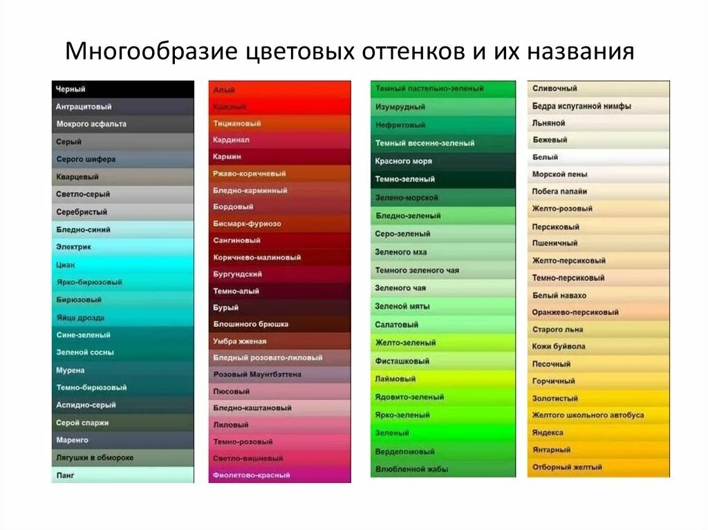 Названия цветов в одежде с фото Название цветов фото - DelaDom.ru