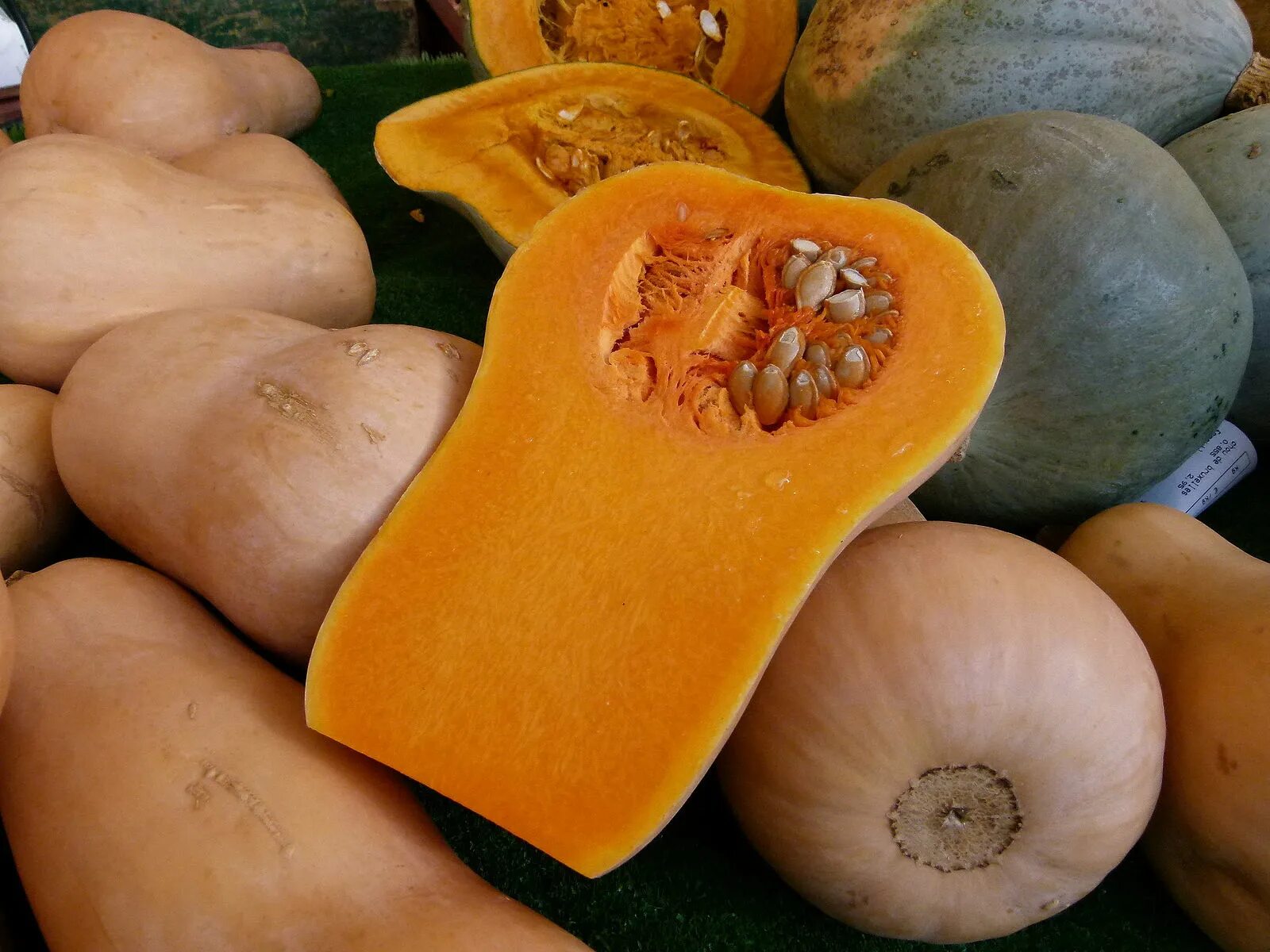 Названия тыкв с фото и описание File:Au marché - coupe de butternut.JPG - Wikimedia Commons