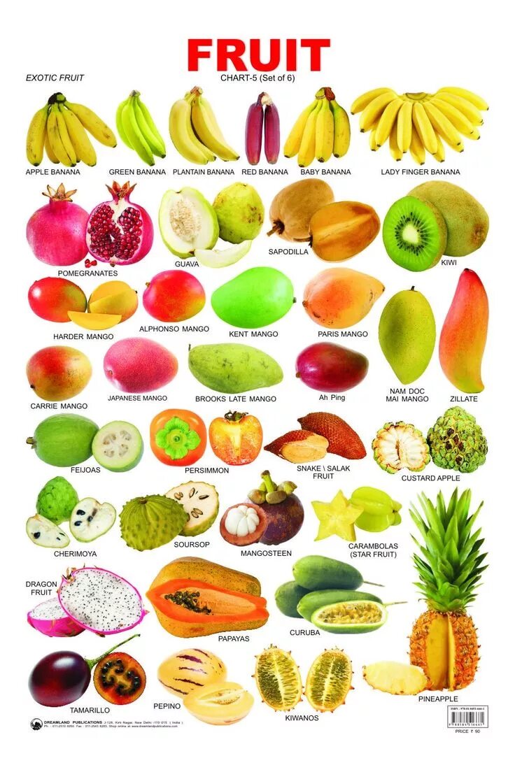Названия южных экзотических фруктов с фото Pin by Hamada Elmasry on English Fruit names, Exotic fruit, Fruit